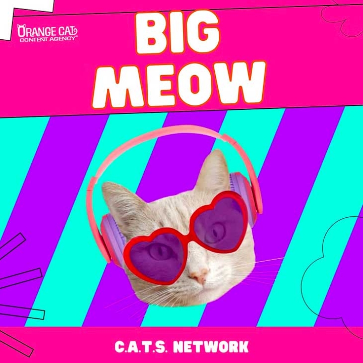 Face of a cat wearing headphones and heart-shaped glasses