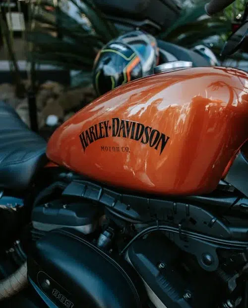 Motorcycle Close Up by Otavio Henrique